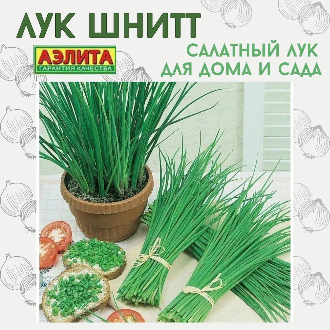 Семеналука,ЛукшниттЗимнийкустовой,длявыращиваниядомаидлясада,Аэлитаэконом0,3г